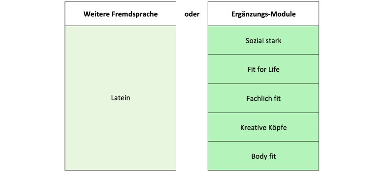 Modules of the supplementary lessons are shown.