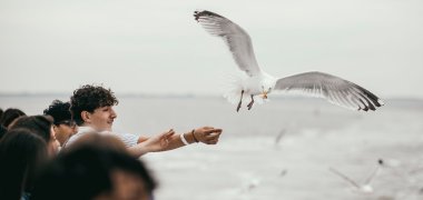 Een meeuw vliegt met wijd uitgespreide vleugels vlak langs een leerling die op het buitendek van de veerboot zijn hand uitstrekt. Op de voorgrond en aan de linkerkant van de foto kijken andere leerlingen van de Gesamtschule Gronau naar het tafereel; op de achtergrond is de Noordzee te zien.