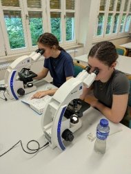 Zwei Jugendliche untersuchen Proben an Mikroskopen in einem Laborraum und dokumentieren ihre Beobachtungen.